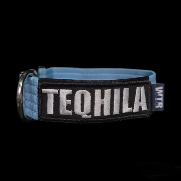 Collar Táctico WTR Pet - Celeste